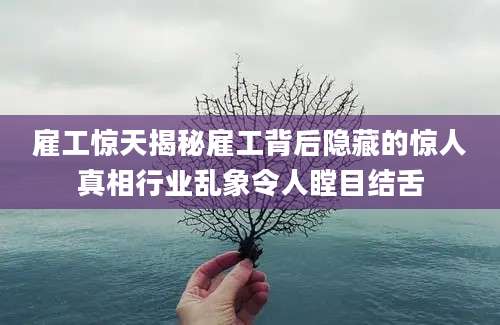 雇工惊天揭秘雇工背后隐藏的惊人真相行业乱象令人瞠目结舌