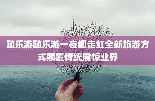 随乐游随乐游一夜间走红全新旅游方式颠覆传统震惊业界