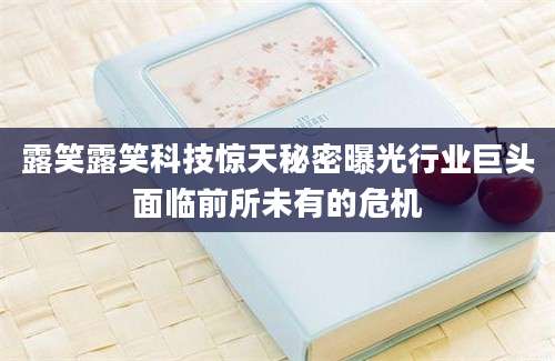 露笑露笑科技惊天秘密曝光行业巨头面临前所未有的危机
