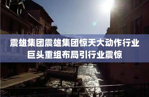 震雄集团震雄集团惊天大动作行业巨头重组布局引行业震惊