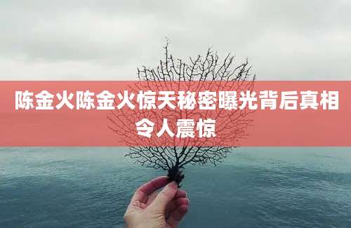 陈金火陈金火惊天秘密曝光背后真相令人震惊