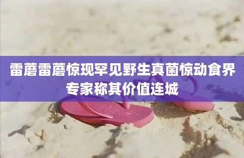 雷蘑雷蘑惊现罕见野生真菌惊动食界专家称其价值连城