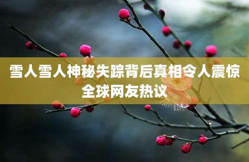 雪人雪人神秘失踪背后真相令人震惊全球网友热议