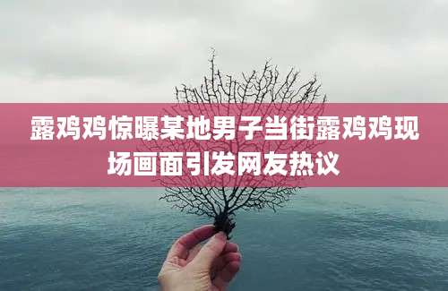 露鸡鸡惊曝某地男子当街露鸡鸡现场画面引发网友热议