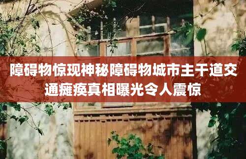 障碍物惊现神秘障碍物城市主干道交通瘫痪真相曝光令人震惊