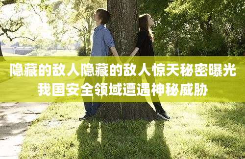 隐藏的敌人隐藏的敌人惊天秘密曝光我国安全领域遭遇神秘威胁