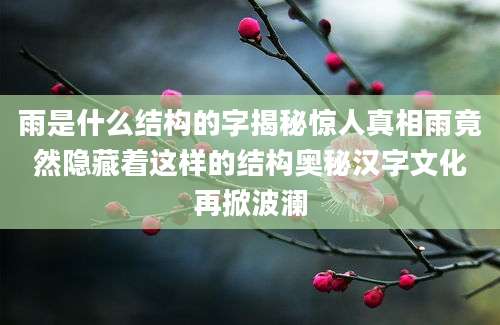 雨是什么结构的字揭秘惊人真相雨竟然隐藏着这样的结构奥秘汉字文化再掀波澜