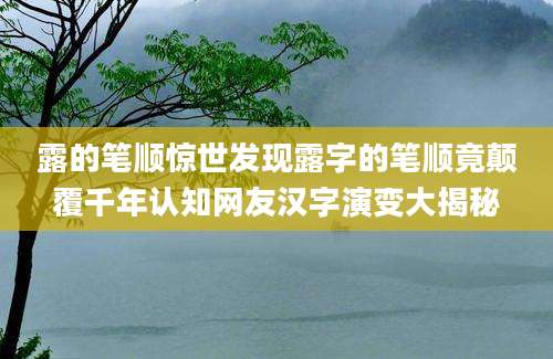 露的笔顺惊世发现露字的笔顺竟颠覆千年认知网友汉字演变大揭秘