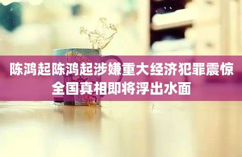 陈鸿起陈鸿起涉嫌重大经济犯罪震惊全国真相即将浮出水面