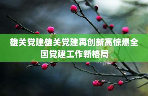 雄关党建雄关党建再创新高惊爆全国党建工作新格局