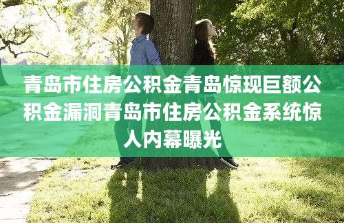 青岛市住房公积金青岛惊现巨额公积金漏洞青岛市住房公积金系统惊人内幕曝光