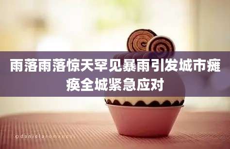 雨落雨落惊天罕见暴雨引发城市瘫痪全城紧急应对