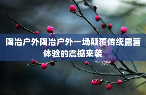 陶冶户外陶冶户外一场颠覆传统露营体验的震撼来袭