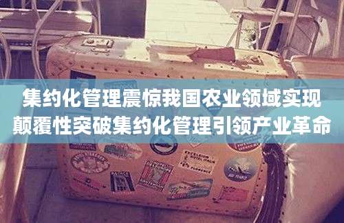集约化管理震惊我国农业领域实现颠覆性突破集约化管理引领产业革命