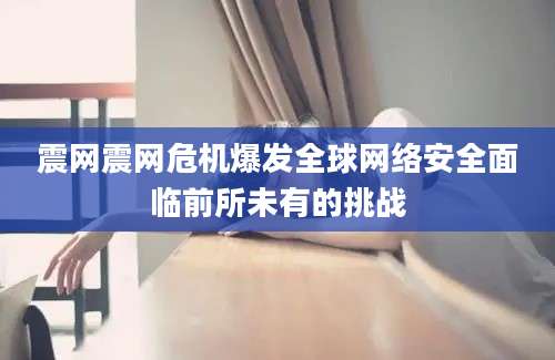 震网震网危机爆发全球网络安全面临前所未有的挑战