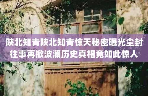 陕北知青陕北知青惊天秘密曝光尘封往事再掀波澜历史真相竟如此惊人