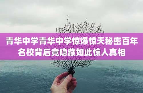 青华中学青华中学惊爆惊天秘密百年名校背后竟隐藏如此惊人真相