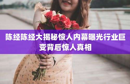 陈经陈经大揭秘惊人内幕曝光行业巨变背后惊人真相