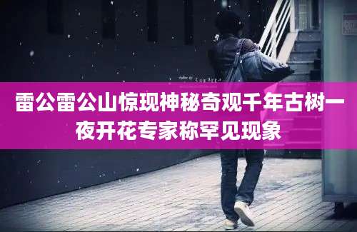雷公雷公山惊现神秘奇观千年古树一夜开花专家称罕见现象