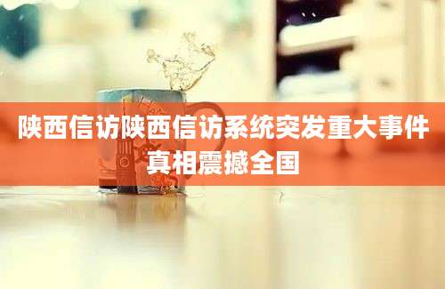 陕西信访陕西信访系统突发重大事件真相震撼全国