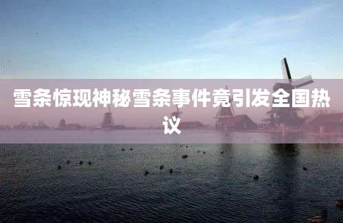 雪条惊现神秘雪条事件竟引发全国热议