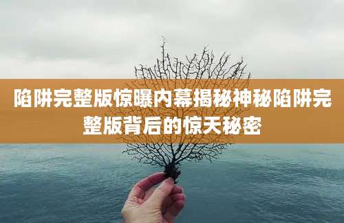 陷阱完整版惊曝内幕揭秘神秘陷阱完整版背后的惊天秘密