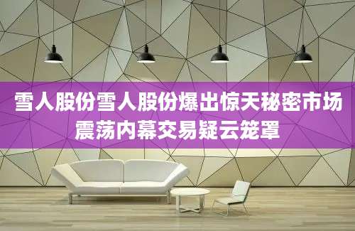 雪人股份雪人股份爆出惊天秘密市场震荡内幕交易疑云笼罩