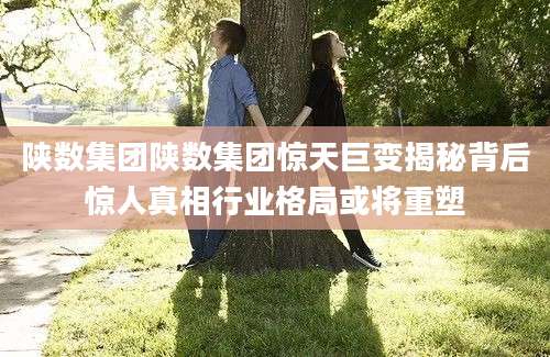 陕数集团陕数集团惊天巨变揭秘背后惊人真相行业格局或将重塑