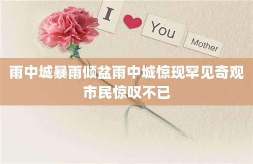 雨中城暴雨倾盆雨中城惊现罕见奇观市民惊叹不已