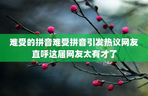 难受的拼音难受拼音引发热议网友直呼这届网友太有才了