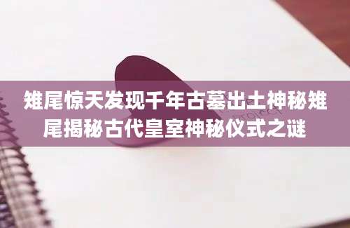 雉尾惊天发现千年古墓出土神秘雉尾揭秘古代皇室神秘仪式之谜