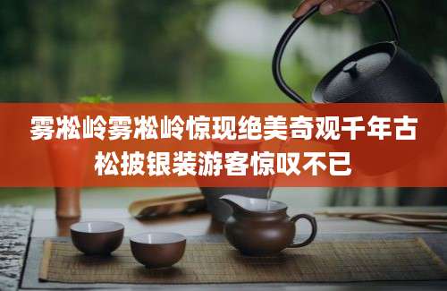 雾凇岭雾凇岭惊现绝美奇观千年古松披银装游客惊叹不已