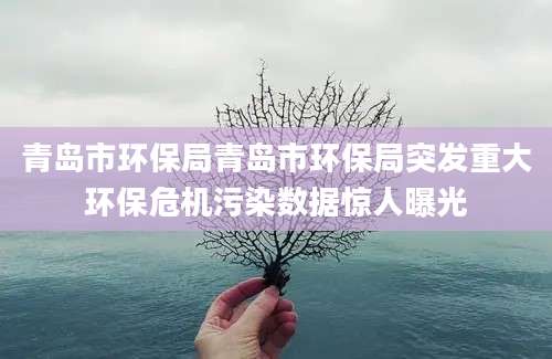 青岛市环保局青岛市环保局突发重大环保危机污染数据惊人曝光