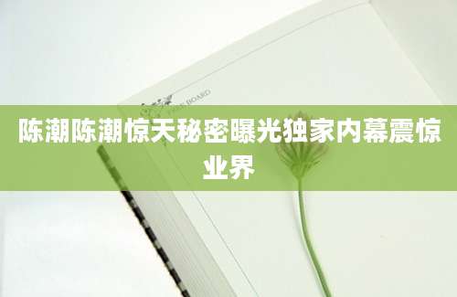 陈潮陈潮惊天秘密曝光独家内幕震惊业界