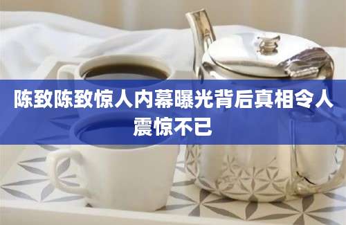 陈致陈致惊人内幕曝光背后真相令人震惊不已