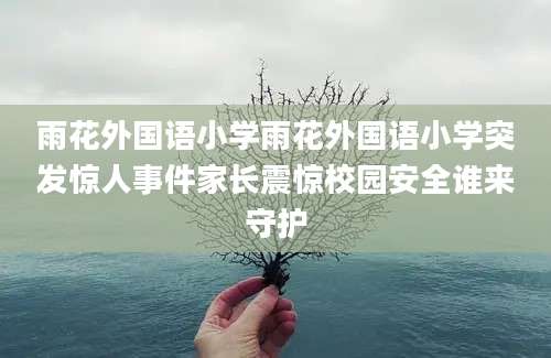 雨花外国语小学雨花外国语小学突发惊人事件家长震惊校园安全谁来守护