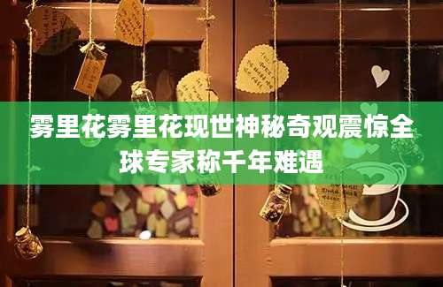 雾里花雾里花现世神秘奇观震惊全球专家称千年难遇