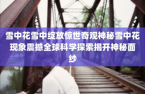 雪中花雪中绽放惊世奇观神秘雪中花现象震撼全球科学探索揭开神秘面纱