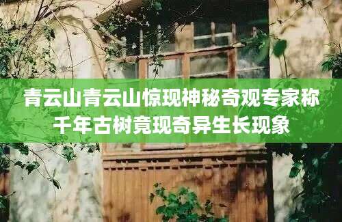 青云山青云山惊现神秘奇观专家称千年古树竟现奇异生长现象
