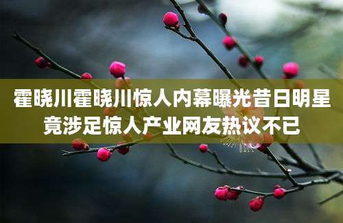 霍晓川霍晓川惊人内幕曝光昔日明星竟涉足惊人产业网友热议不已