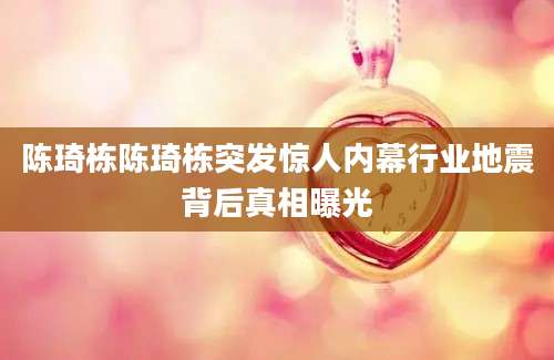 陈琦栋陈琦栋突发惊人内幕行业地震背后真相曝光