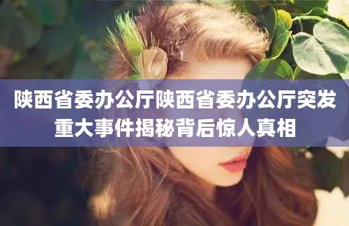 陕西省委办公厅陕西省委办公厅突发重大事件揭秘背后惊人真相
