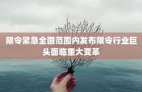 限令紧急全国范围内发布限令行业巨头面临重大变革