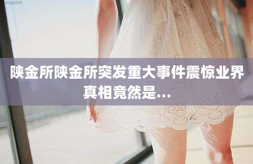 陕金所陕金所突发重大事件震惊业界真相竟然是...