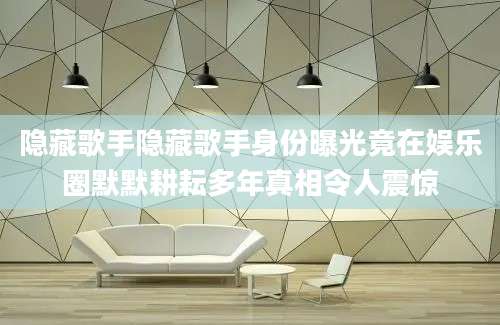 隐藏歌手隐藏歌手身份曝光竟在娱乐圈默默耕耘多年真相令人震惊