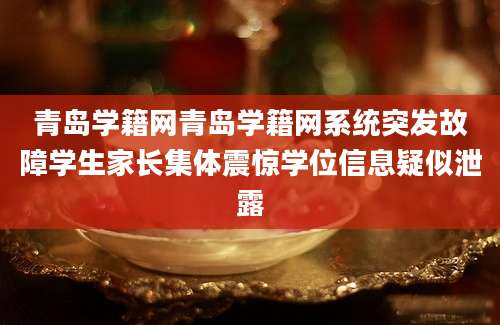 青岛学籍网青岛学籍网系统突发故障学生家长集体震惊学位信息疑似泄露