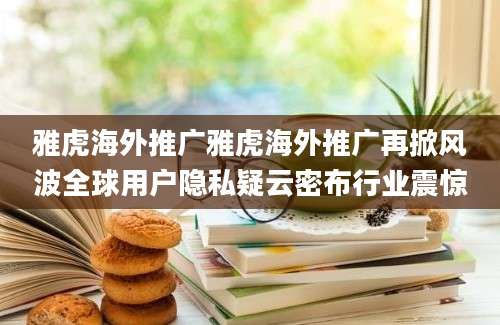 雅虎海外推广雅虎海外推广再掀风波全球用户隐私疑云密布行业震惊