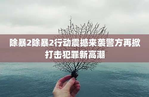 除暴2除暴2行动震撼来袭警方再掀打击犯罪新高潮
