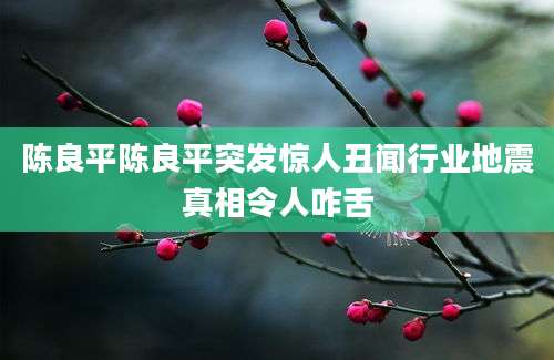 陈良平陈良平突发惊人丑闻行业地震真相令人咋舌