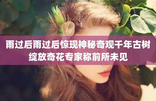 雨过后雨过后惊现神秘奇观千年古树绽放奇花专家称前所未见